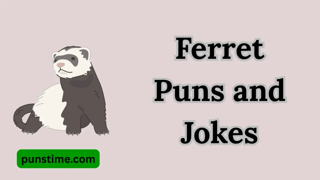 Social Media Ferret Puns