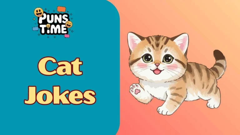 Cat Jokes