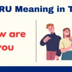 HRU Meaning in Text