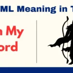 OML Meaning in Text