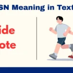SN Meaning in Text