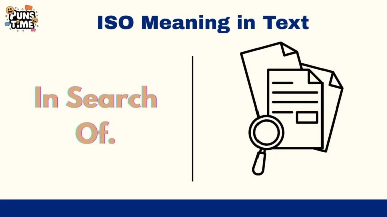 ISO Meaning in Text