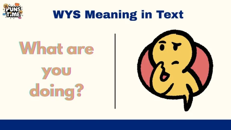 WYS Meaning in Text